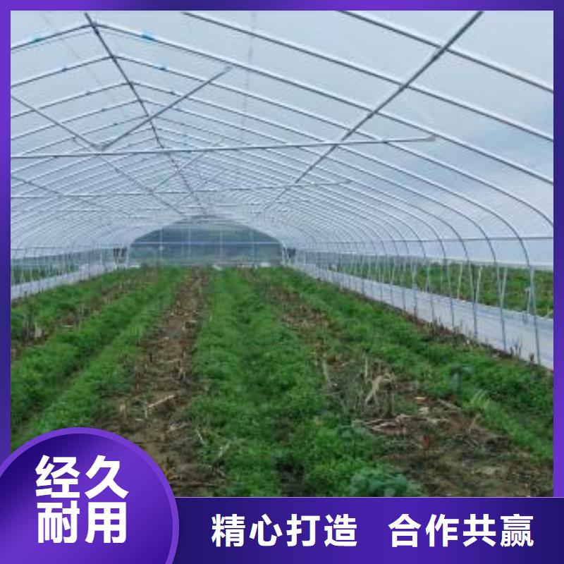  大棚管购买的是放心