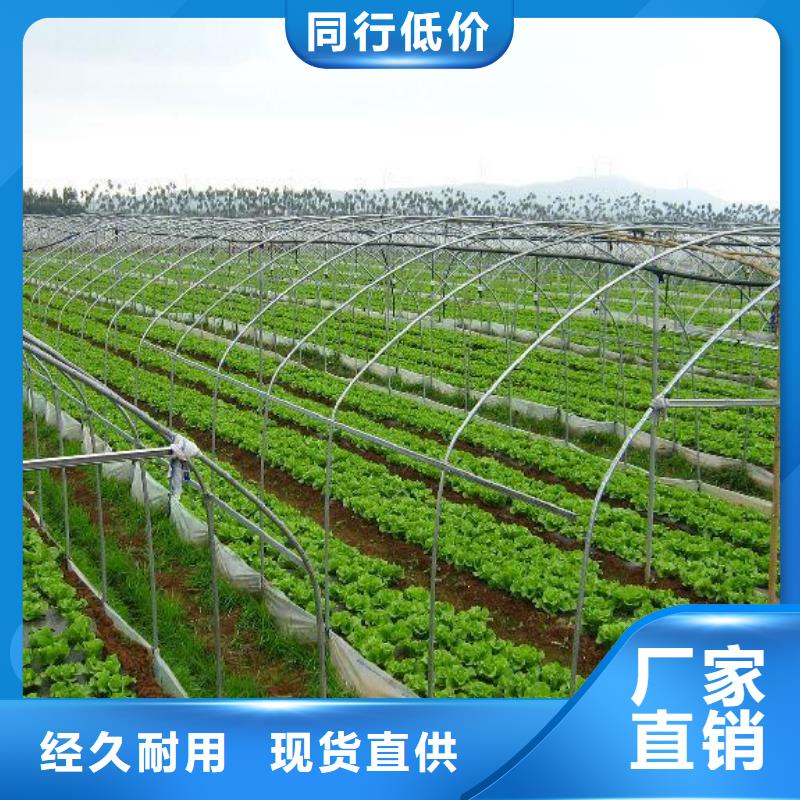 大棚管-连栋大棚管精心打造