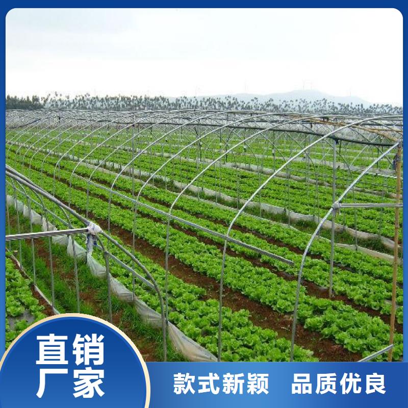 大棚管温室大棚管准时交付