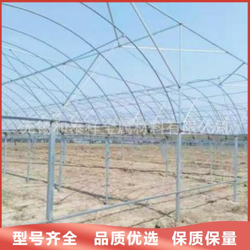 【大棚管 椭圆管温室大棚价格透明】