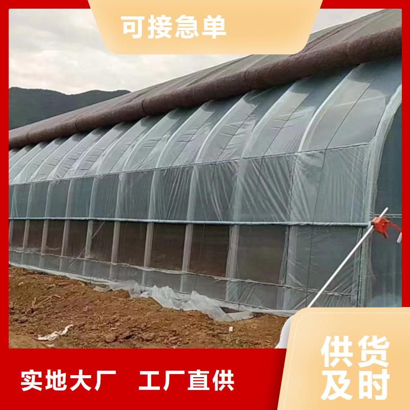 大棚管连栋大棚管值得买