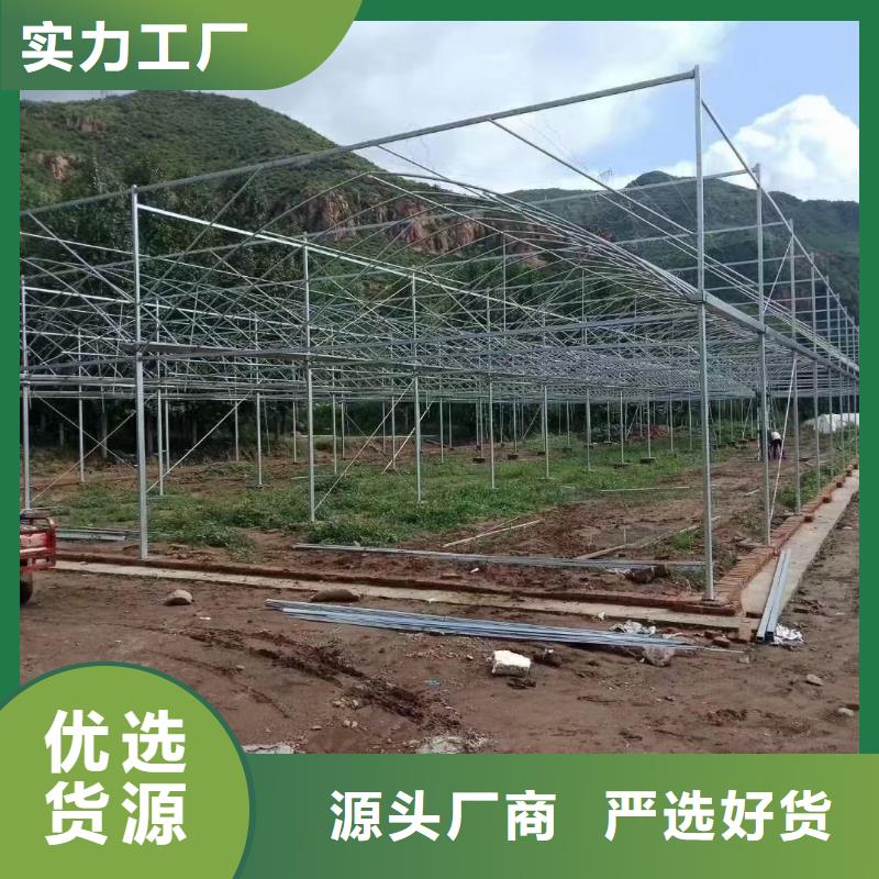 【大棚管 椭圆管温室大棚价格透明】