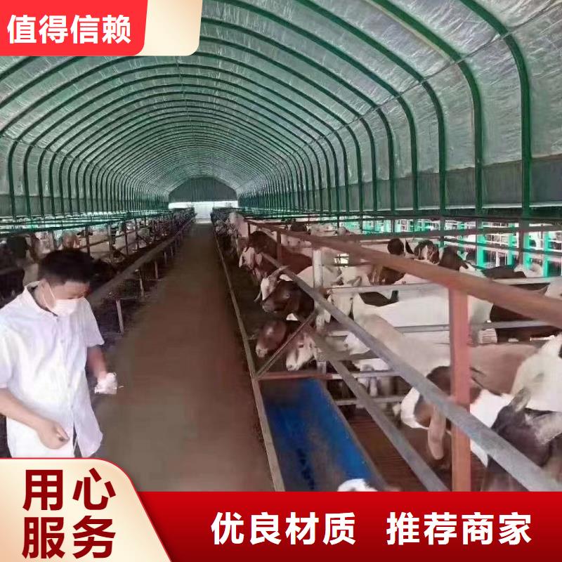 大棚管-大棚骨架源头工厂