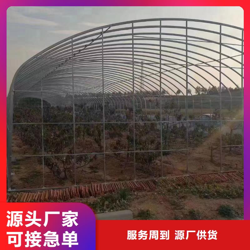 大棚管,农业养殖大棚管助您降低采购成本