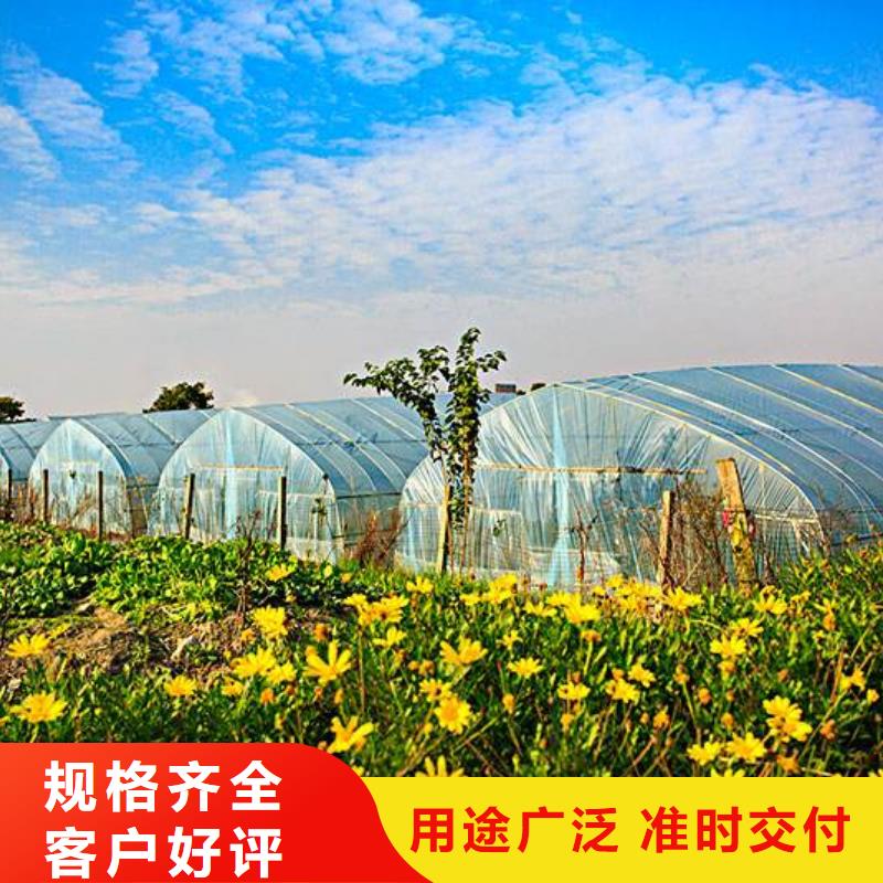 广陵区专业做4分6分8分连栋1寸大棚管哪里买