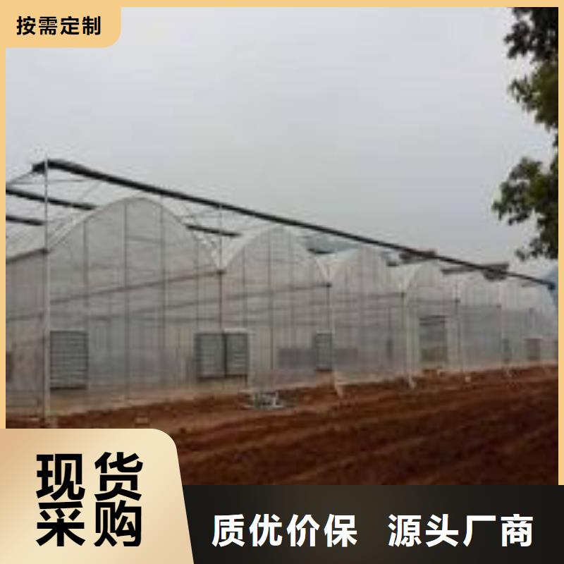 大棚管日光温室大棚定制定做