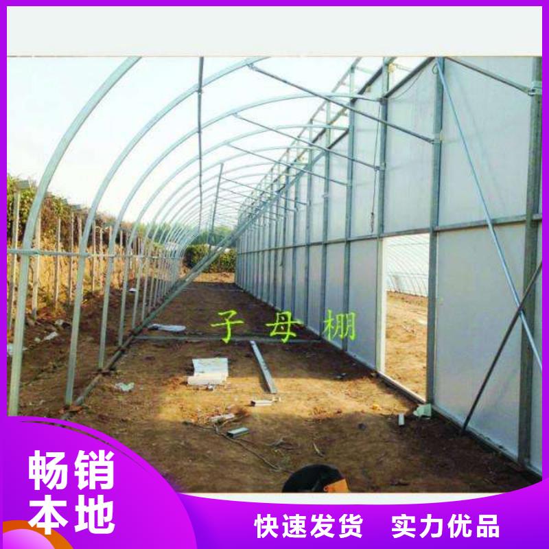 大棚管连栋大棚管值得买