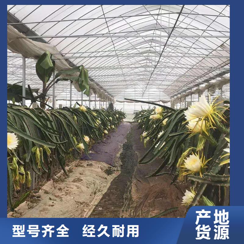 大棚管常年供应