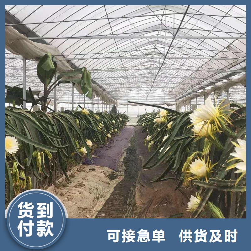 【大棚管】-温室薄膜大棚源头厂商