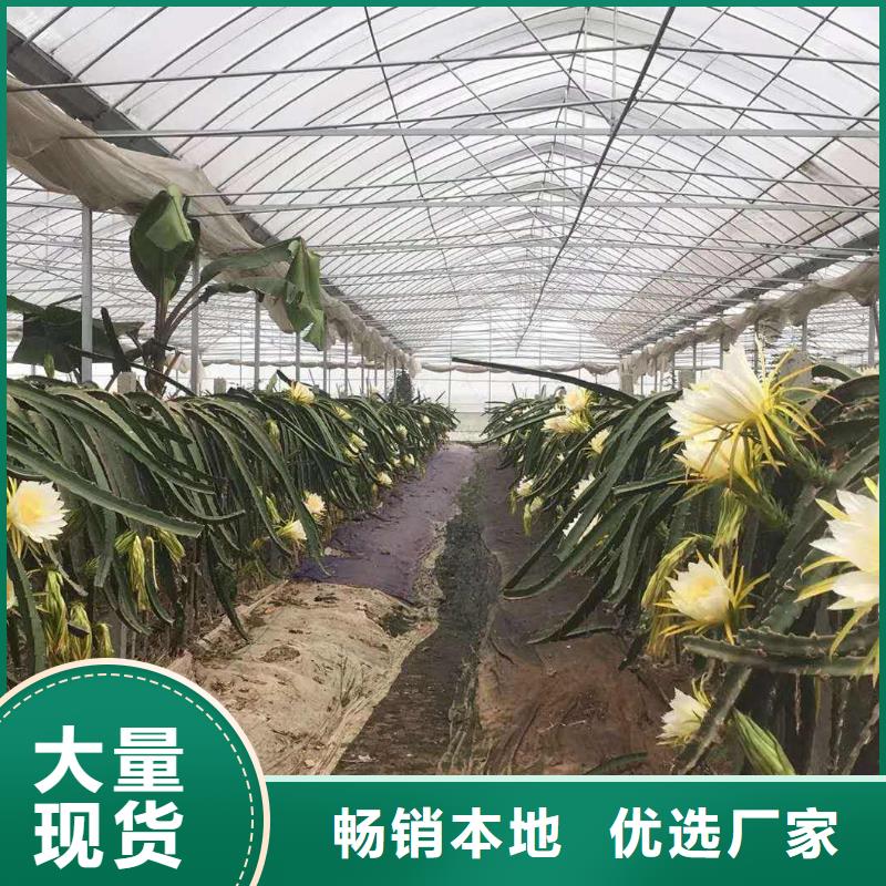  大棚管常年供应
