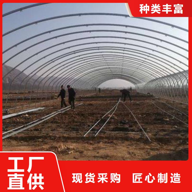 保康县连体大棚管成本