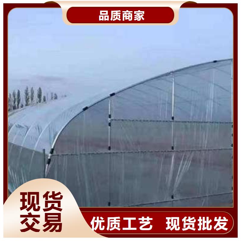 团风大棚管子型号全