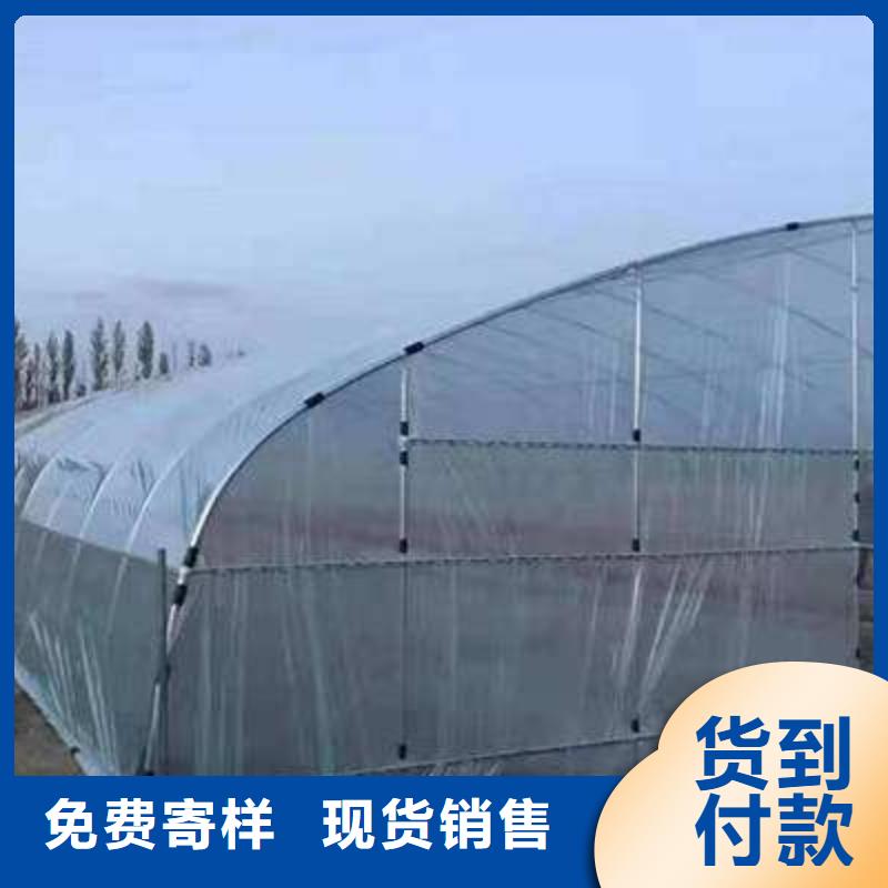 广陵区专业做4分6分8分连栋1寸大棚管哪里买