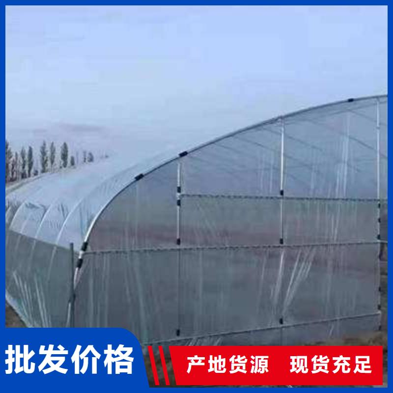 【大棚管 椭圆管温室大棚价格透明】