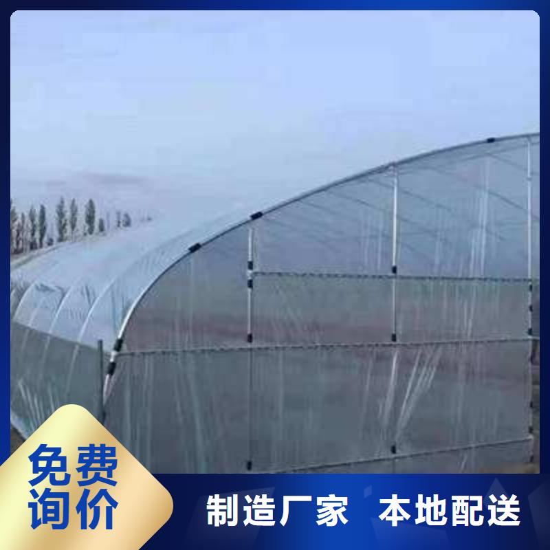 大棚管日光温室大棚定制定做