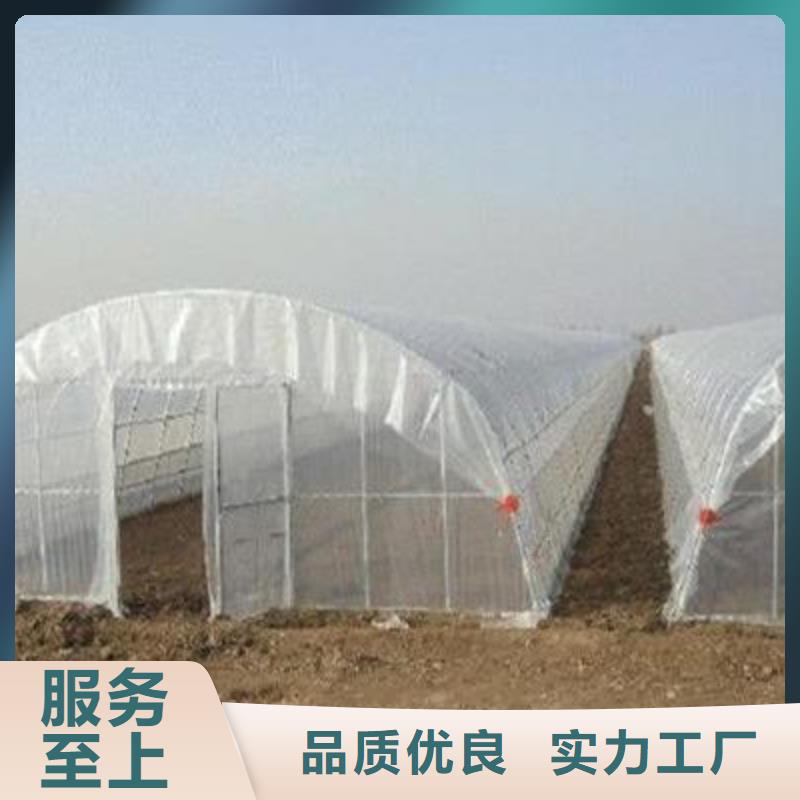 团风大棚管子型号全