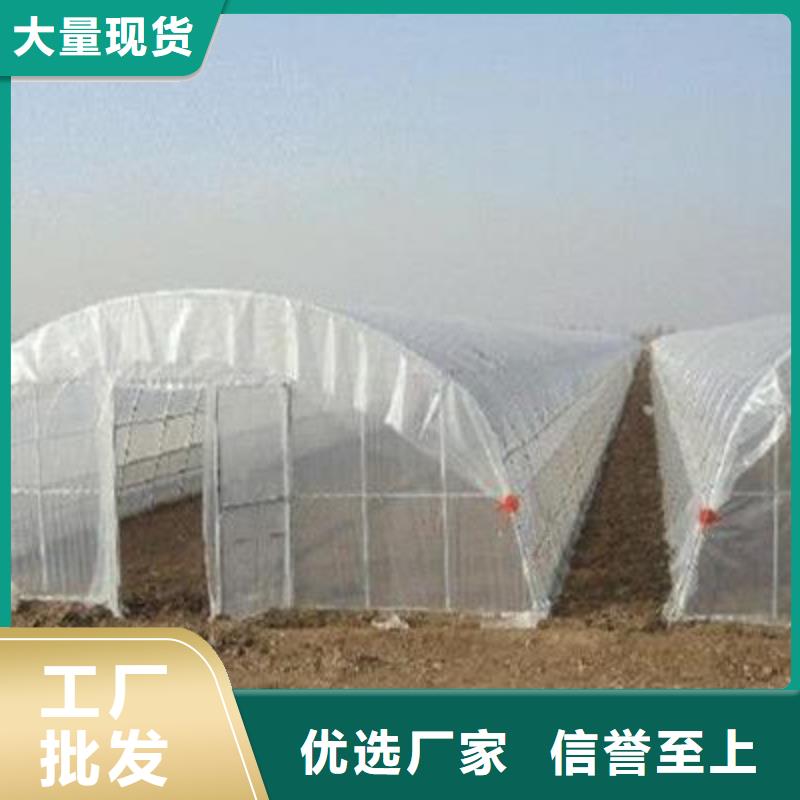 广陵区专业做4分6分8分连栋1寸大棚管哪里买