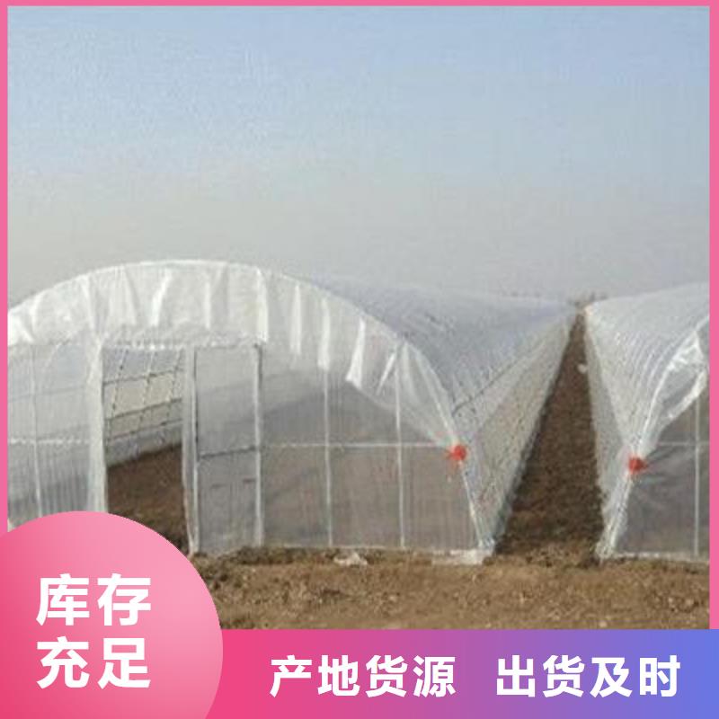 大棚管日光温室大棚定制定做