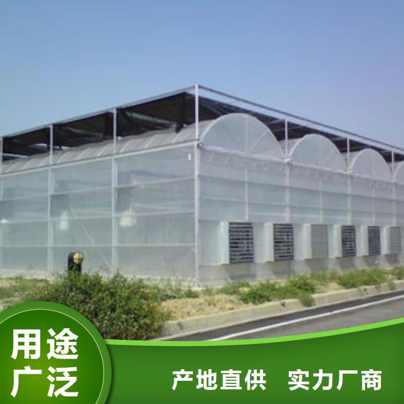 大棚管日光温室大棚定制定做