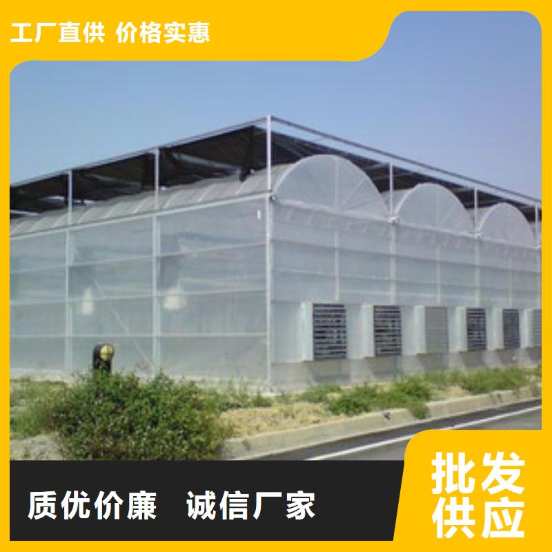 保康县连体大棚管成本
