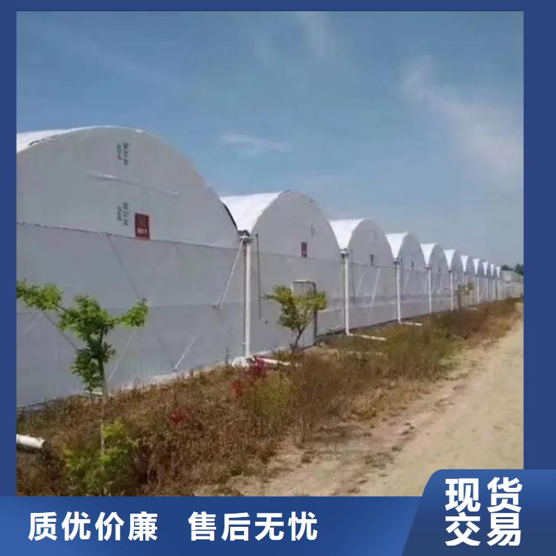 大棚管日光温室大棚定制定做