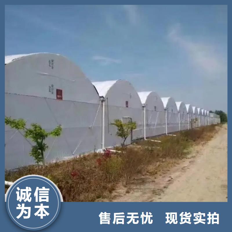 保康县连体大棚管成本