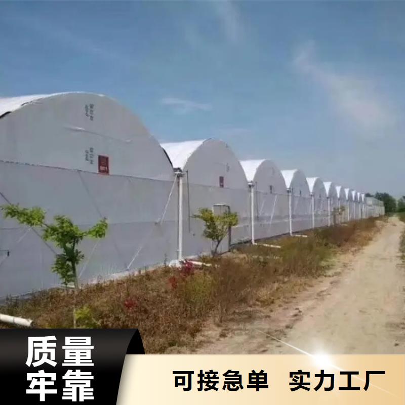 大棚管-连栋大棚管精心打造