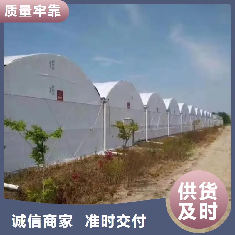 大棚管椭圆管温室大棚为您精心挑选