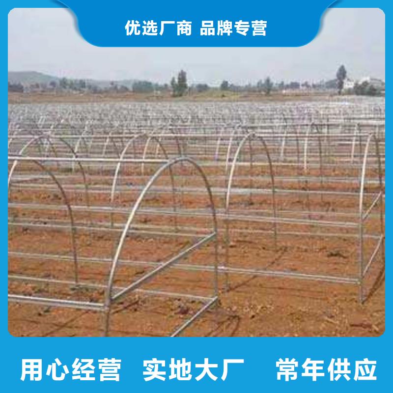 大棚管-连栋大棚管精心打造