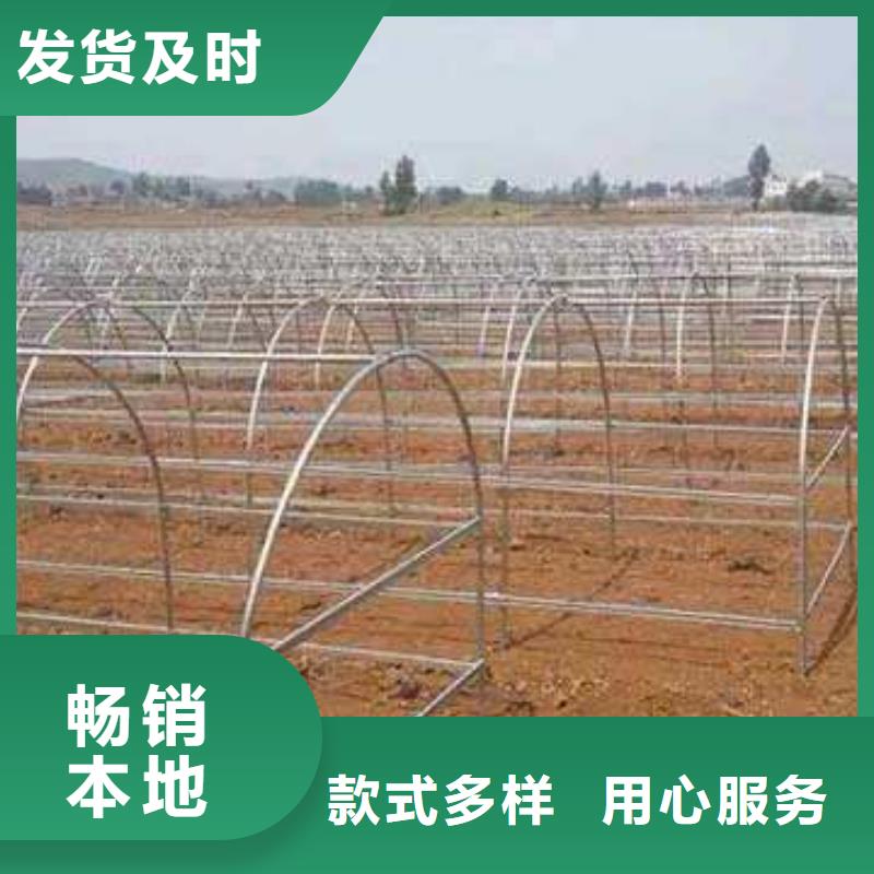 保康县连体大棚管成本