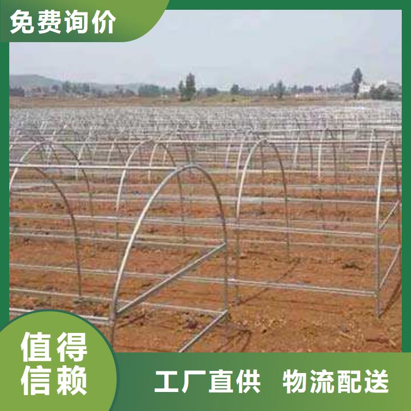 大棚管椭圆管温室大棚为您精心挑选