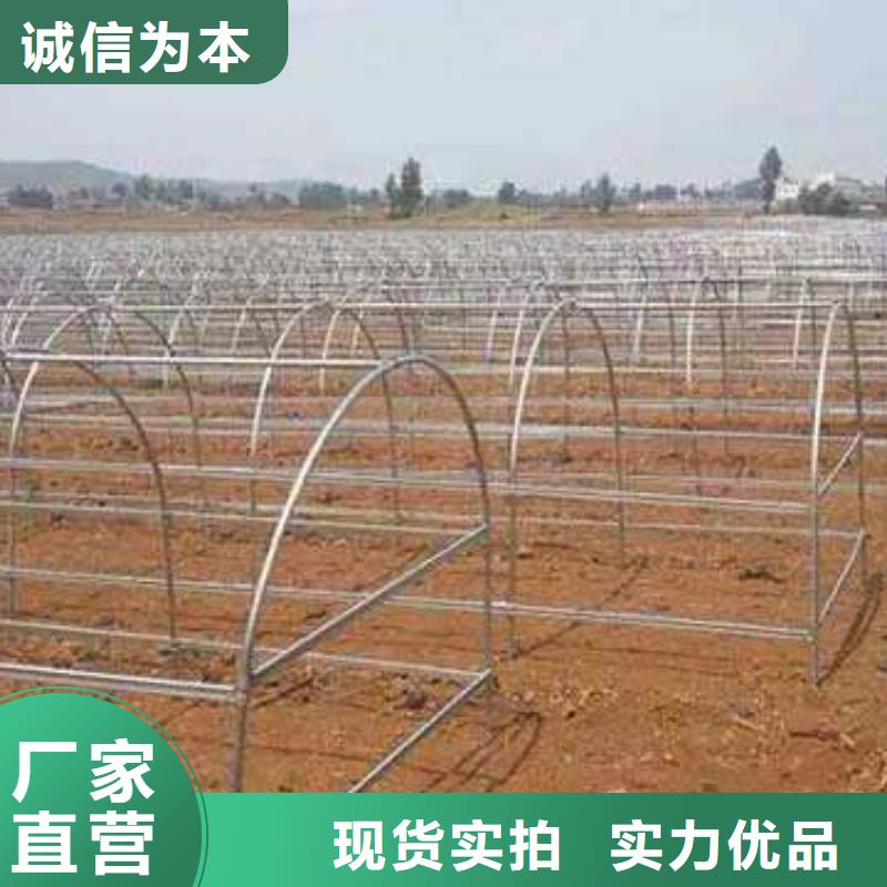 大棚管常年供应