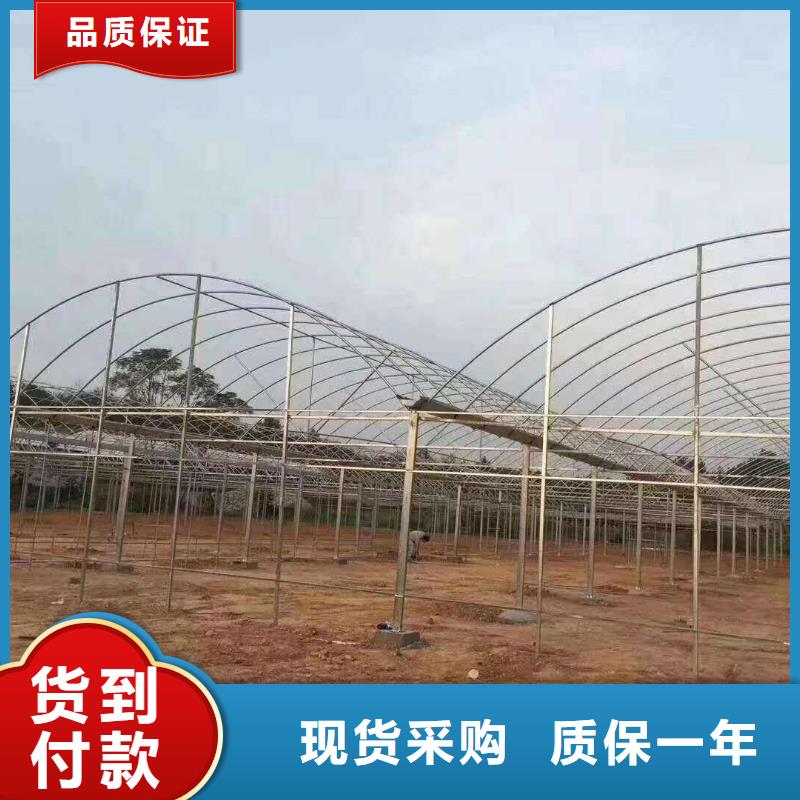 广陵区专业做4分6分8分连栋1寸大棚管哪里买