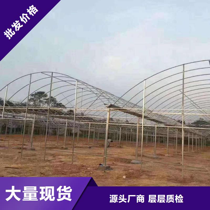 团风大棚管子型号全