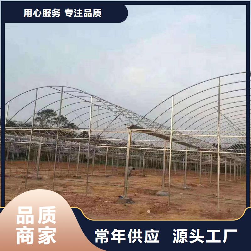 大棚管日光温室大棚定制定做