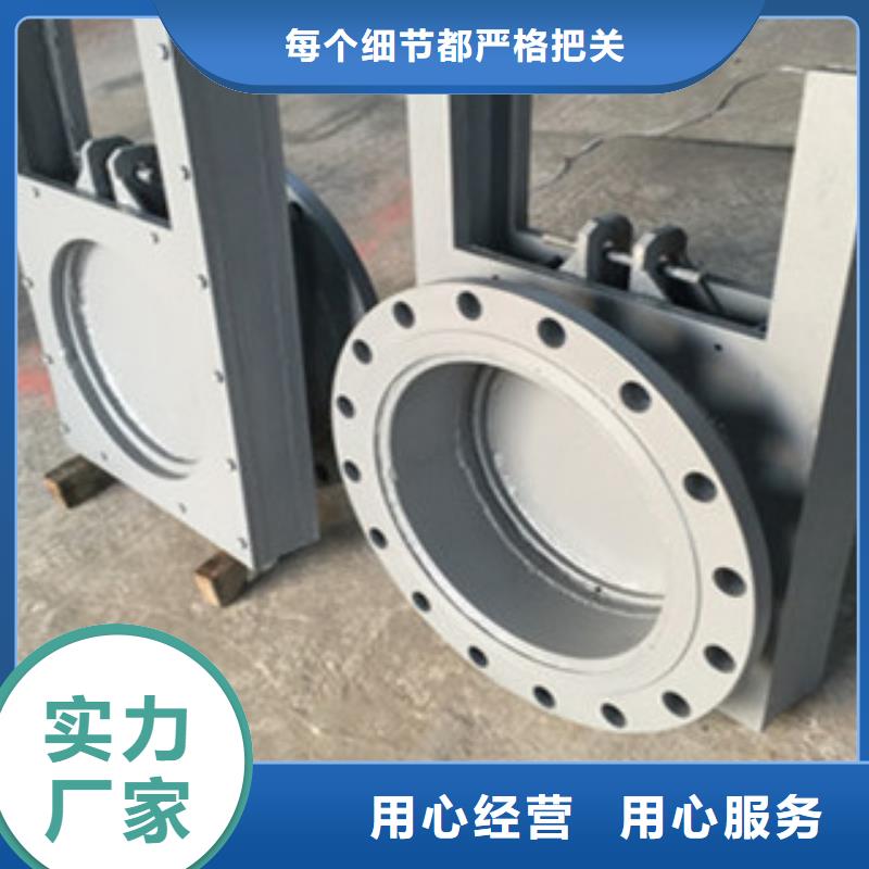 铸铁闸门实地大厂