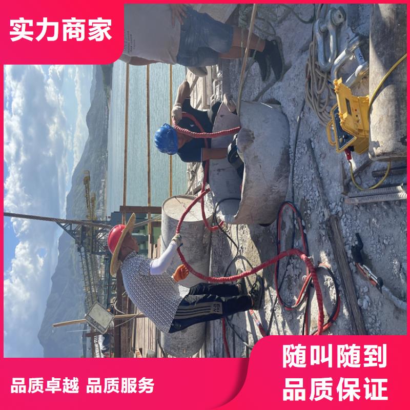 水下摄像录像公司【蛙人施工班组】