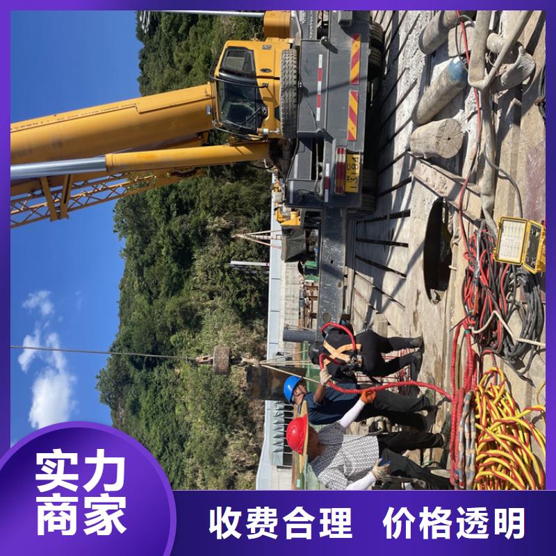 水下摄像录像公司【蛙人施工班组】