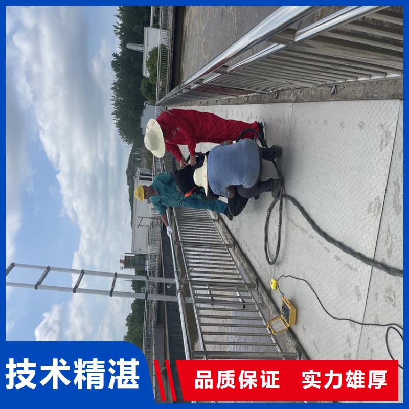 护坡破损模袋修复公司【潜水施工班组】