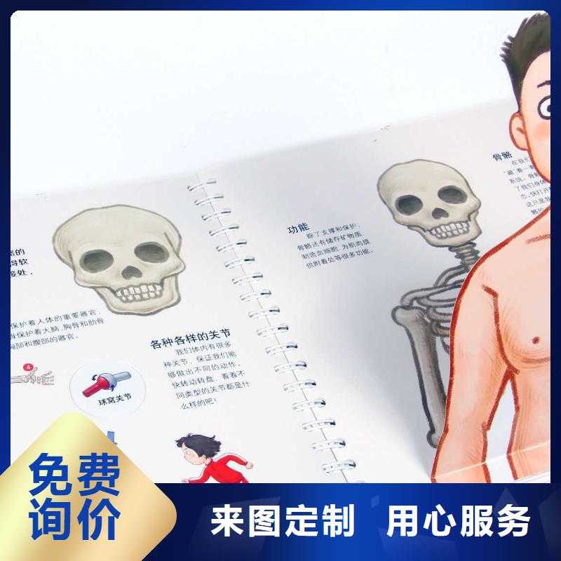 中文胶装绘本可代发