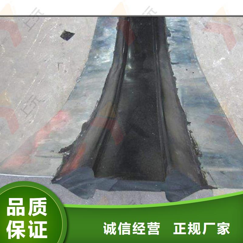 橡胶止水带球铰支座认准大品牌厂家