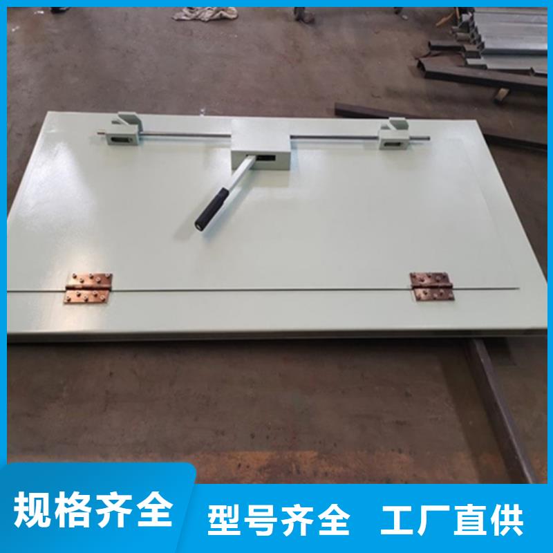 地下探伤防护门-踏踏实实做产品