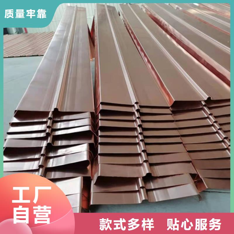 铜排铜片玻纤土工格栅实体厂家
