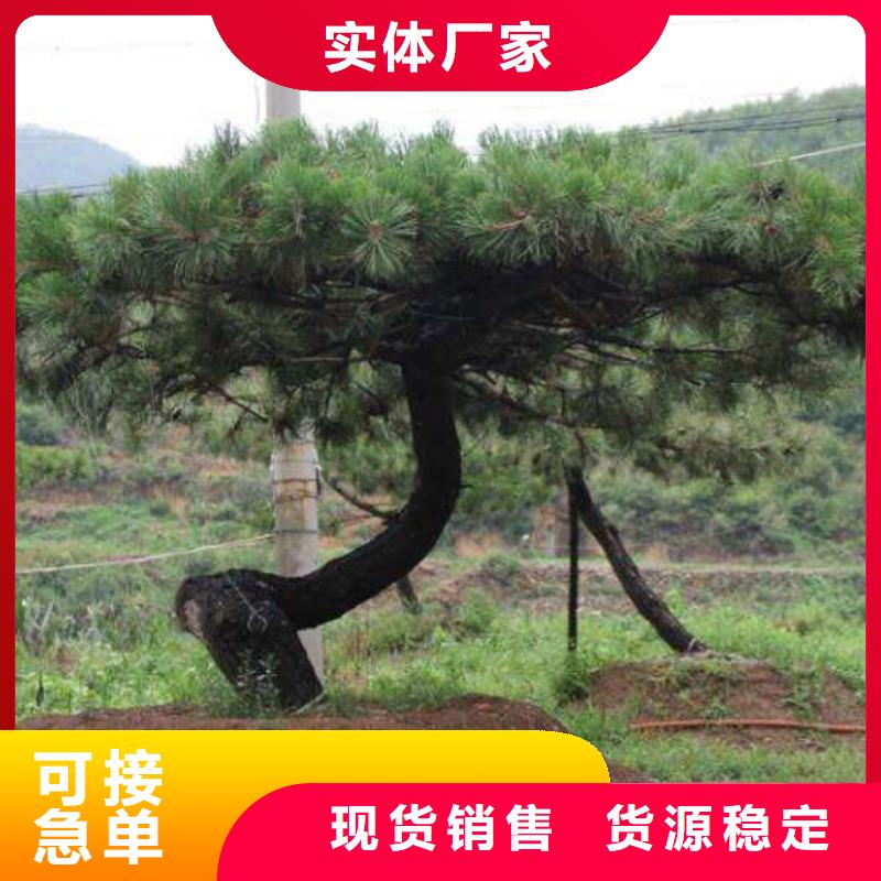  造型松物流配送