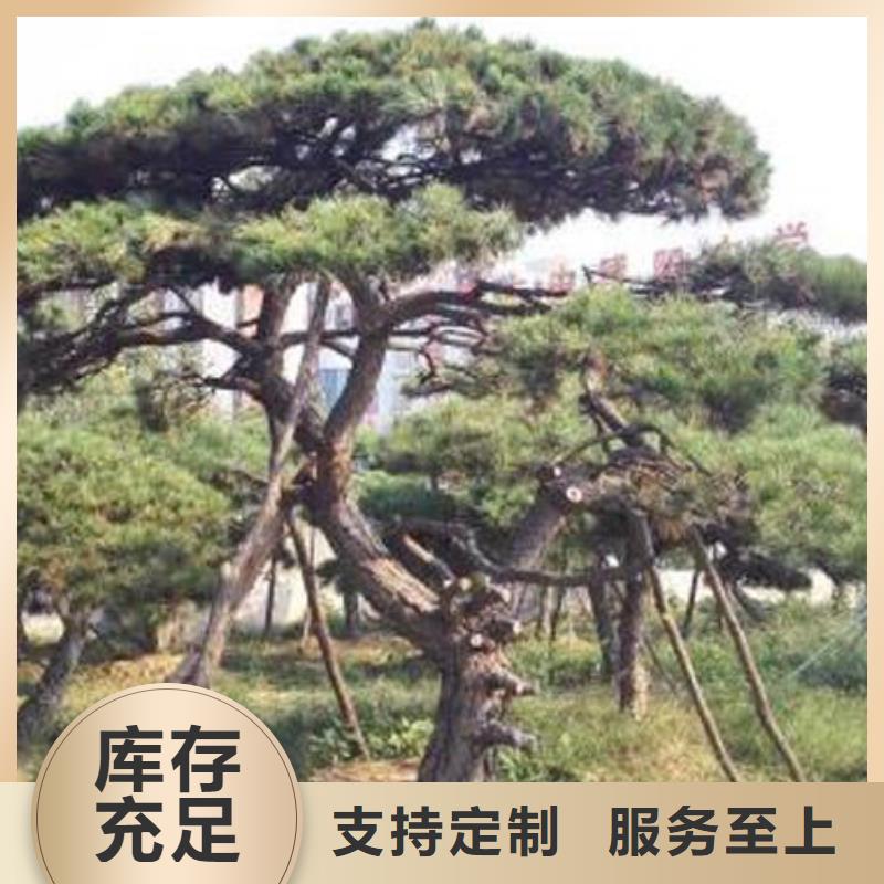 造型松奇石使用寿命长久