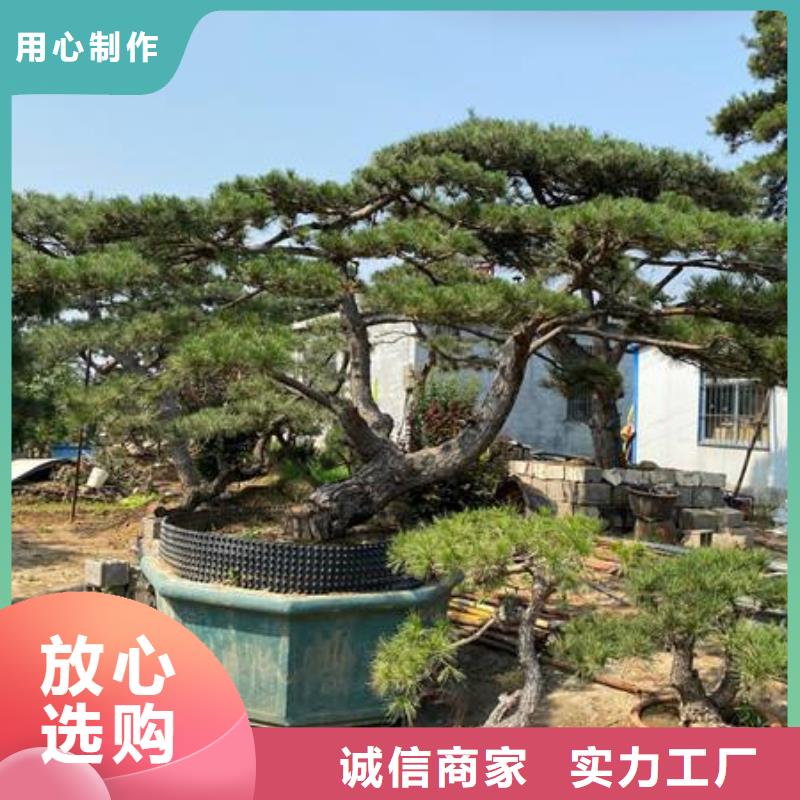 造型松平顶松用心做好细节