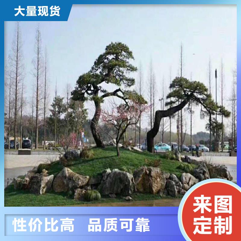 造型松_奇石厂家实力大