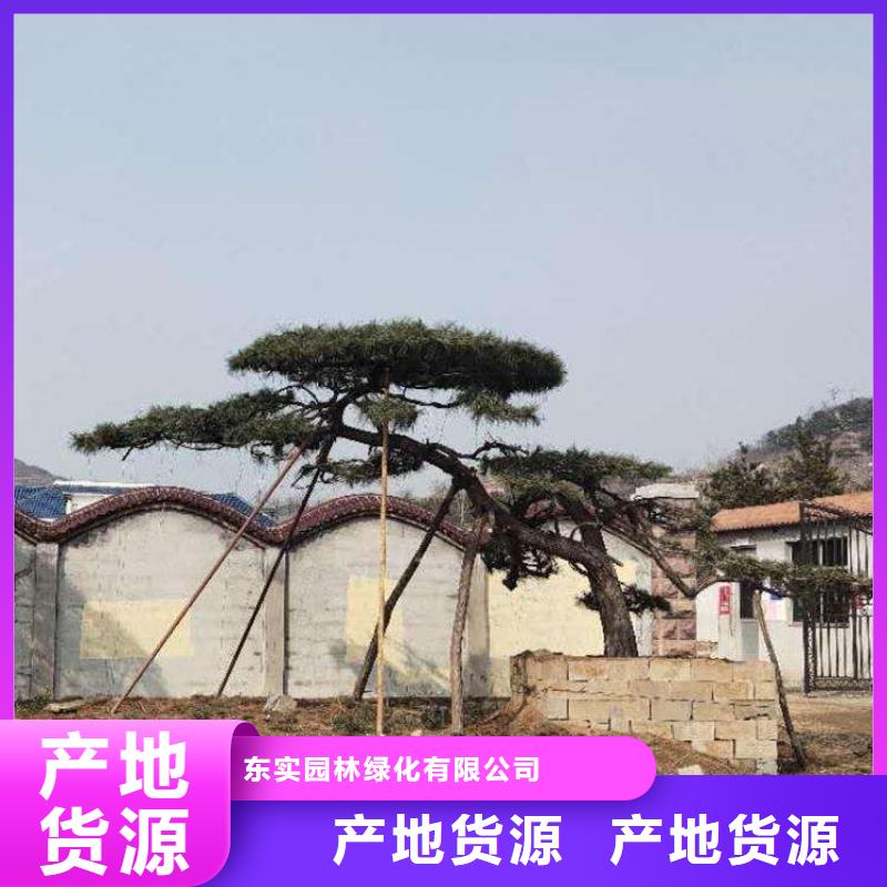  造型松严格把控质量