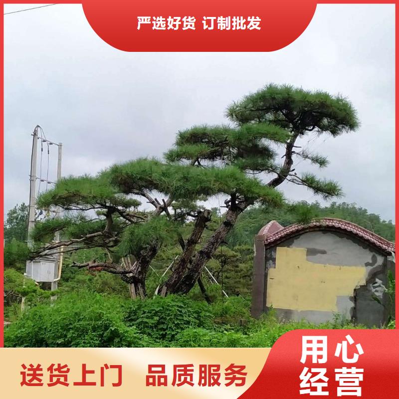 【造型松平顶松满足多种行业需求】