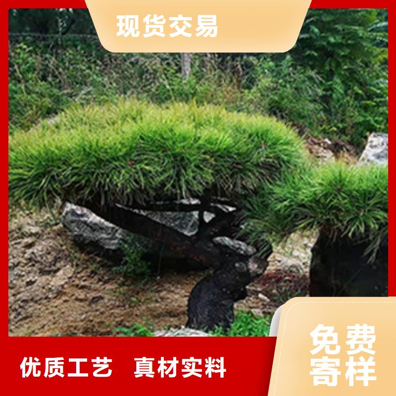 造型松平顶松用心做好细节